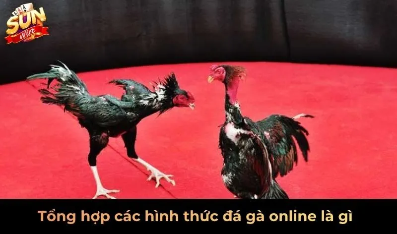 Tổng hợp các hình thức đá gà online là gì?