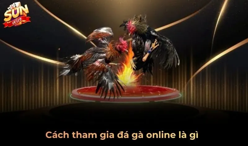 Cách tham gia đá gà online là gì?