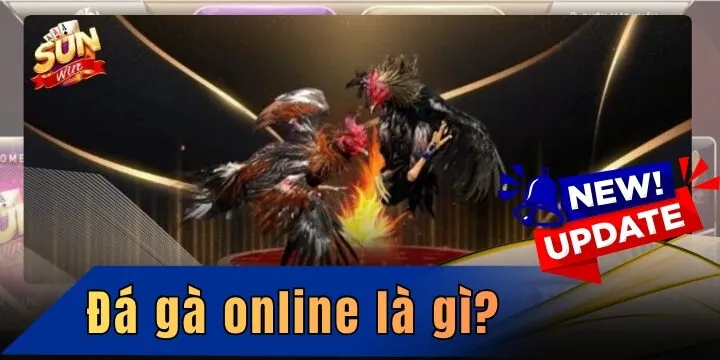 Đá gà online là gì? Hình thức cá cược trực tuyến đông đảo người chơi