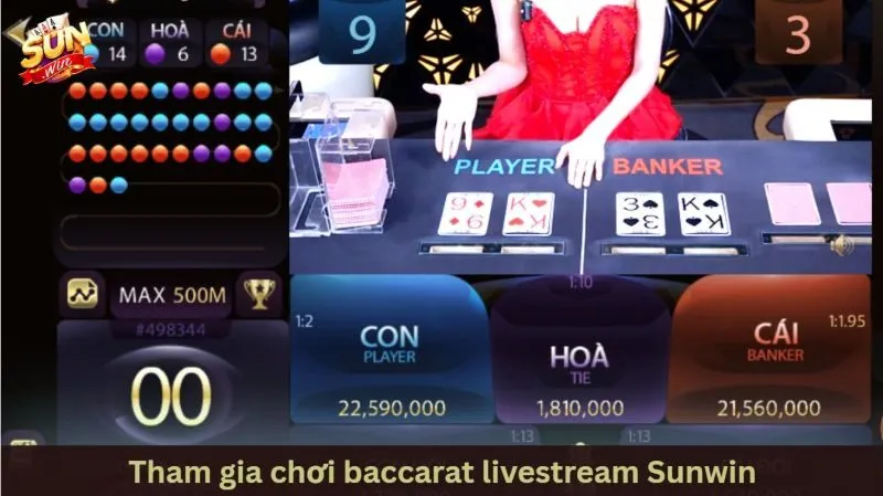 Các cửa cược phổ biến trong Baccarat Sunwin